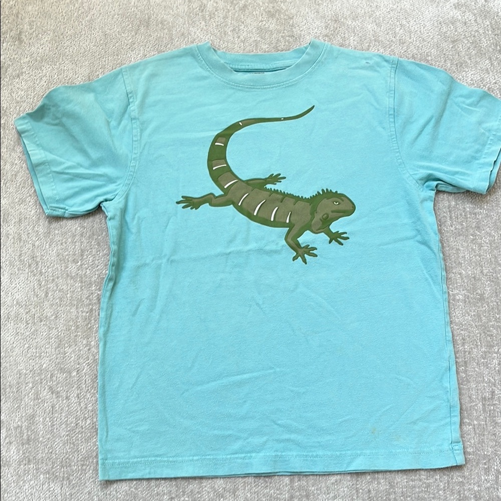 Gymboree boys Reptile Graphic T-Shirt - Blue size 10